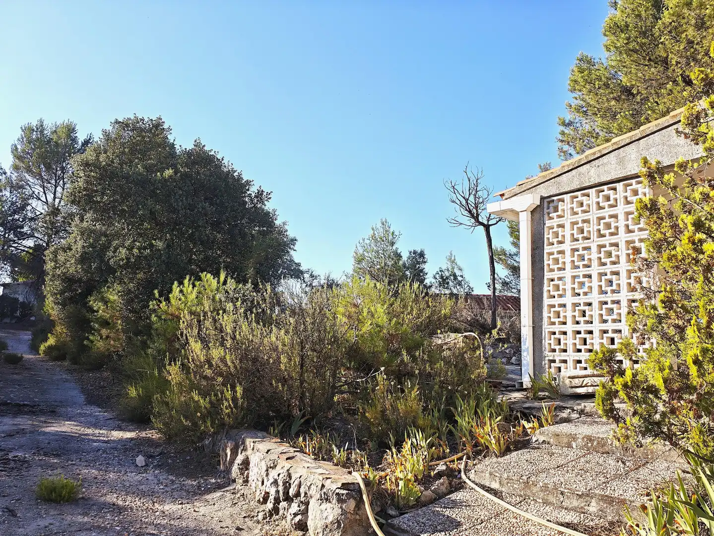 Jardín de Casa o chalet en venta en Perales de Tajuña con Jardín privado, Piscina y Alarma