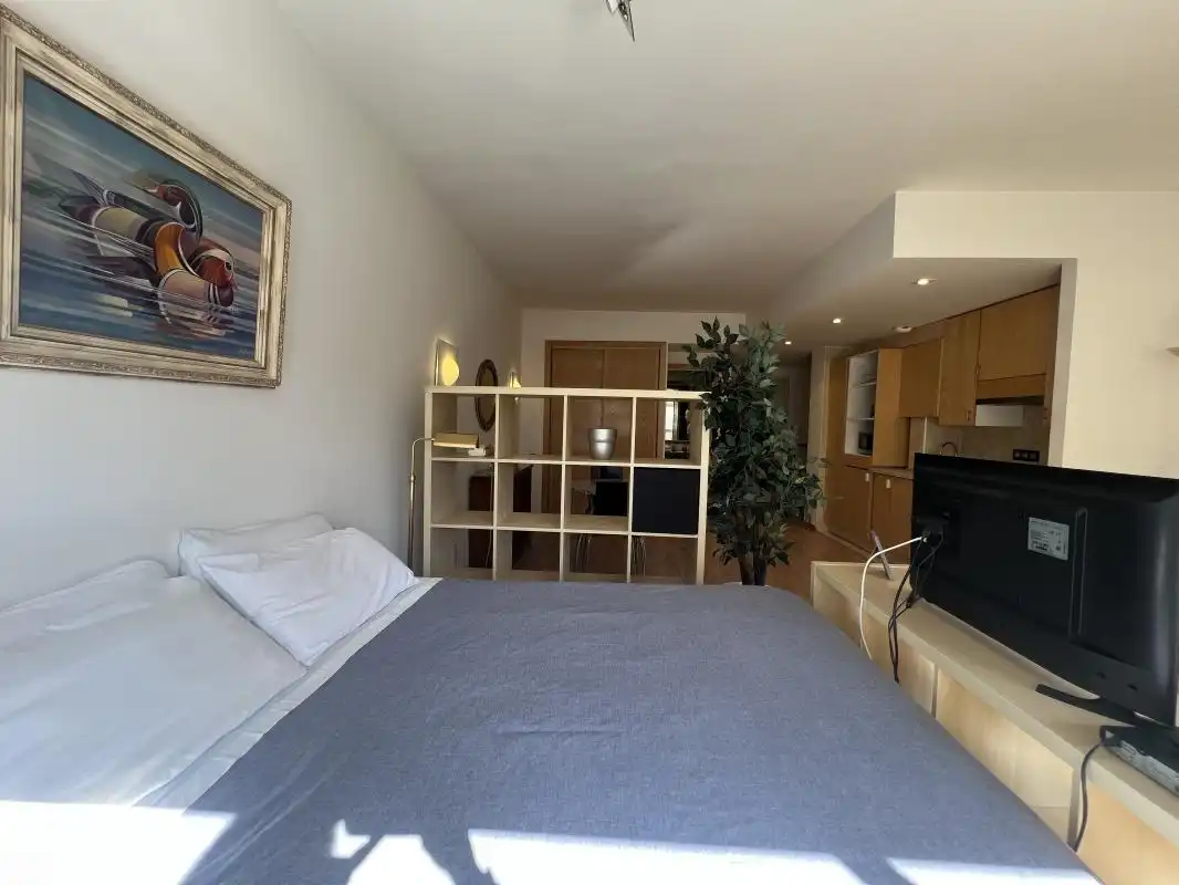 Bedroom of Study for rent in Madrid  with Air Conditioner, Heating and Swimming Pool