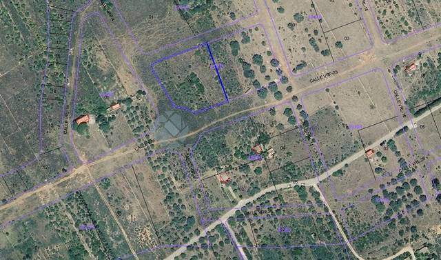 Terreno residencial en Venta en Parcela R- A Sectores en Torreblanca