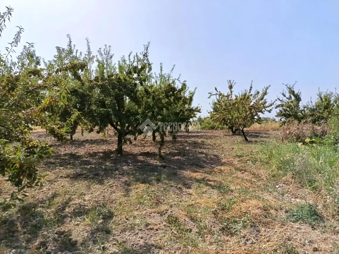 Wohnbaugrundstück zum Verkauf in Gójar, imagen 4