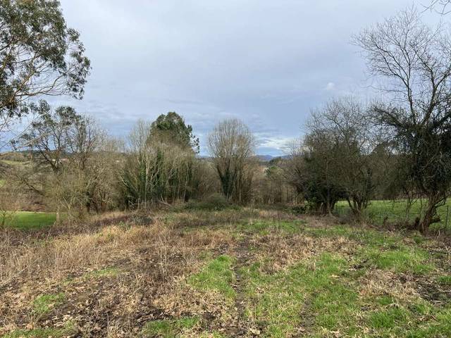 Terreno en Venta en Parroquias Norte