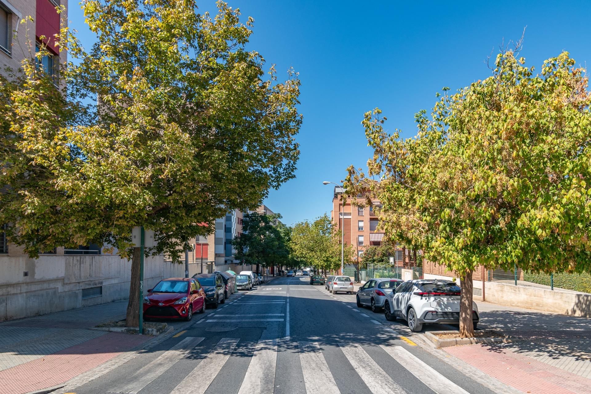 Exterior view of Flat for sale in  Granada Capital  with Heating, Private garden and Terrace