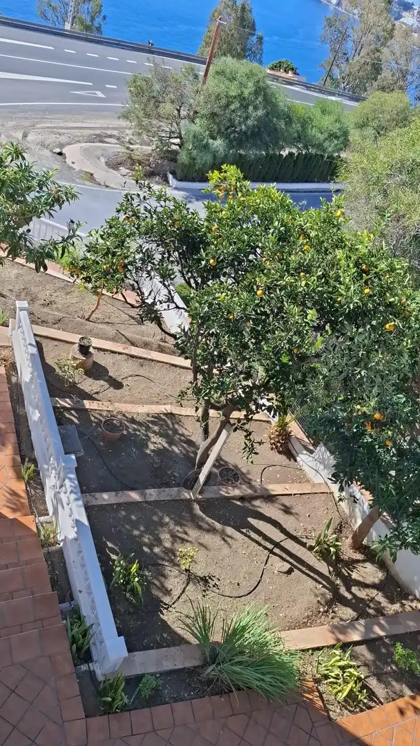 Casa con jardín en venta en Monte los Almendros - El Pargo - Costa Aguilera, imagen 94