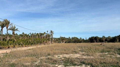 Foto 3 de Terreno en venta en La Foia - Daimés - Asprella, Elche / Elx