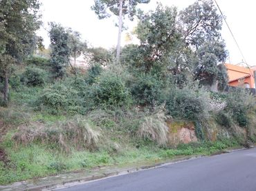 Terreno residenziale in vendita a Montflorit