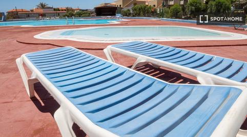 Foto 5 de Estudi per a compartir a Caleta de Fuste, Las Palmas