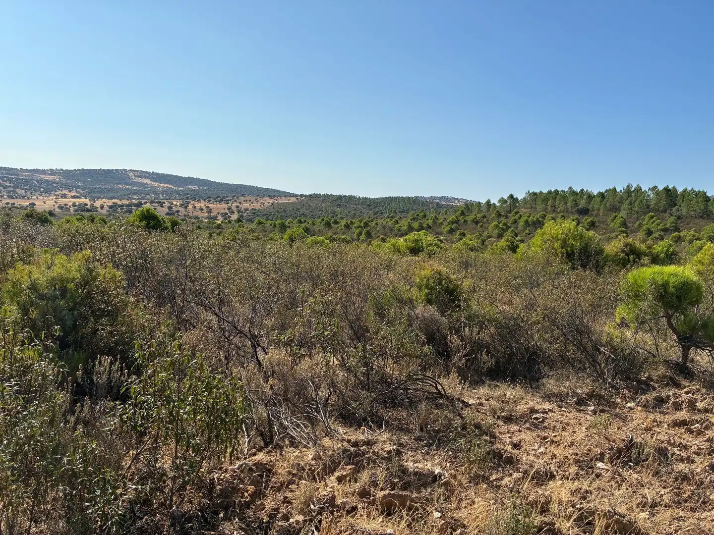 Rural land for sale in Puerto de San Vicente, imagen 2