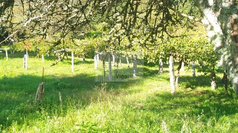Foto 5 de Finca rústica en venta en Paredes, Vilaboa, Pontevedra