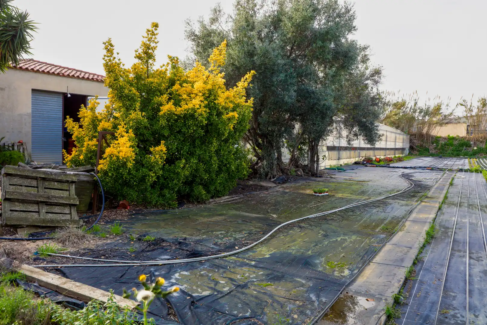 Garten von Grundstücke zum Verkauf in Vilassar de Mar
