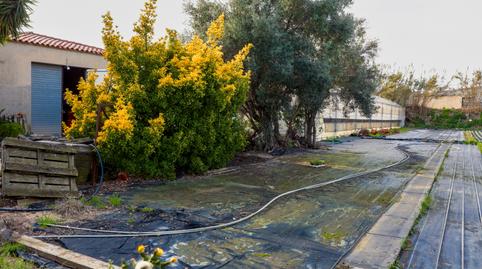 Photo 4 of Land for sale in Poligono Industrial Els Garrofers, Zona Industrial i Agrícola, Vilassar de Mar