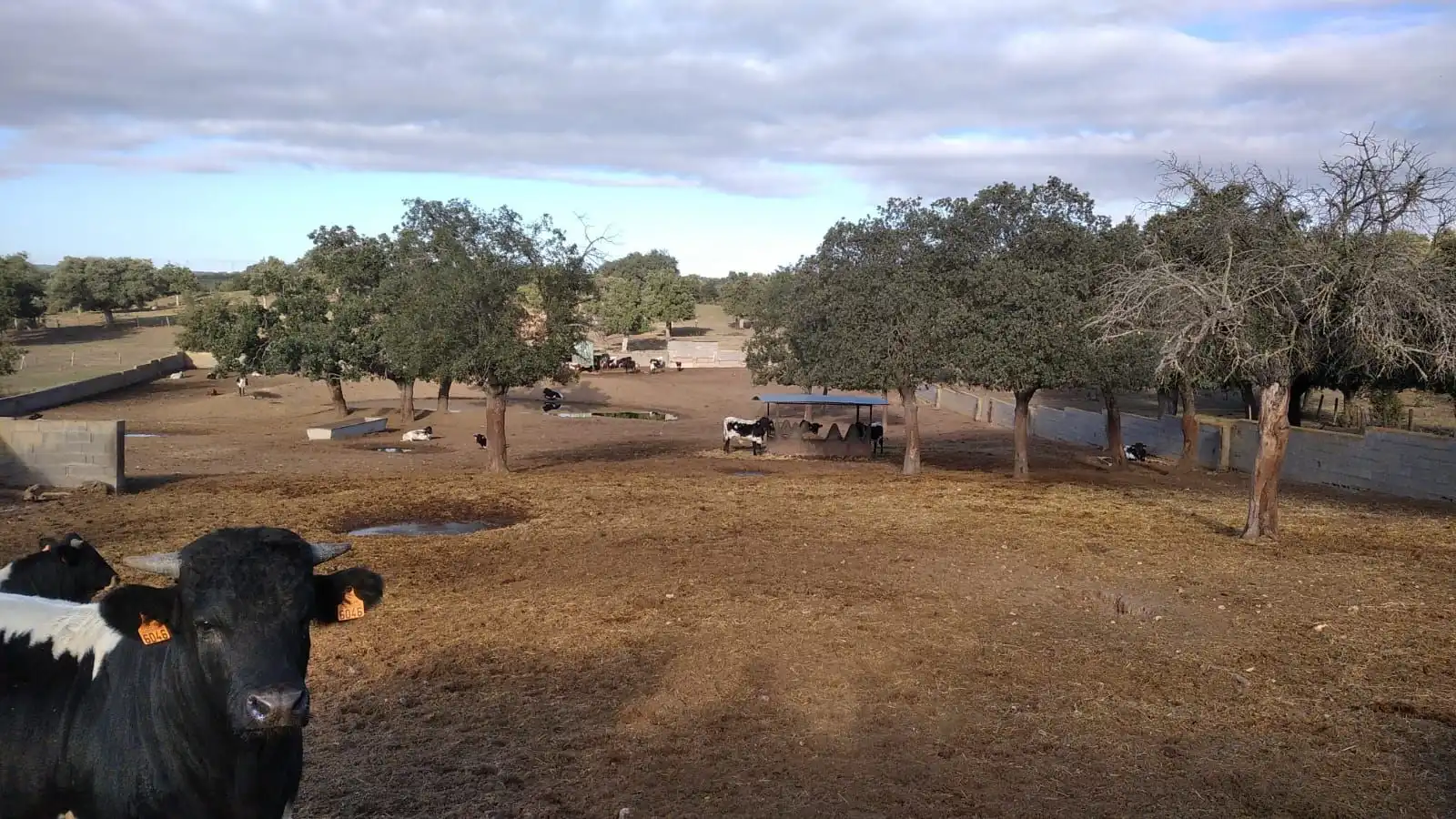 Rural land for sale in Topas, imagen 12