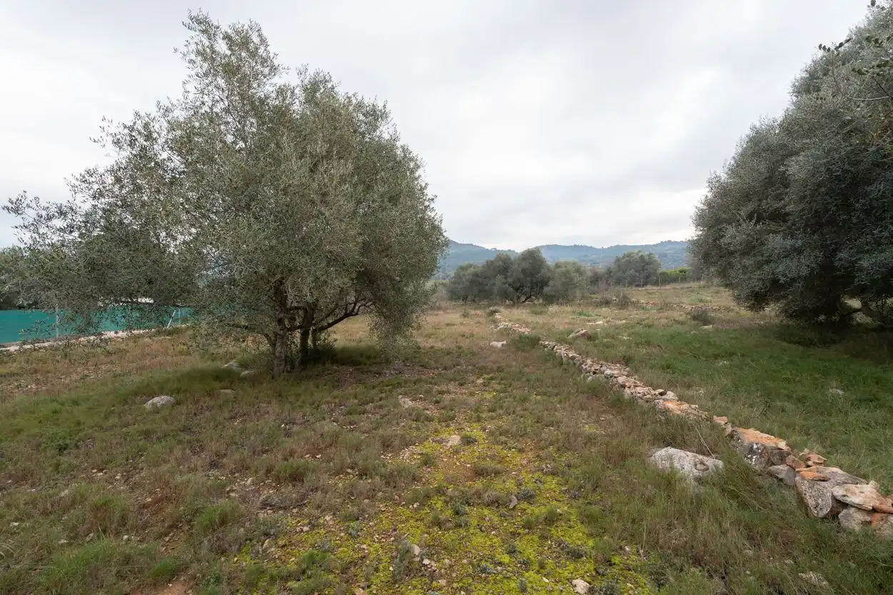 Terreny rústic en venda a Ulldecona, imagen 14