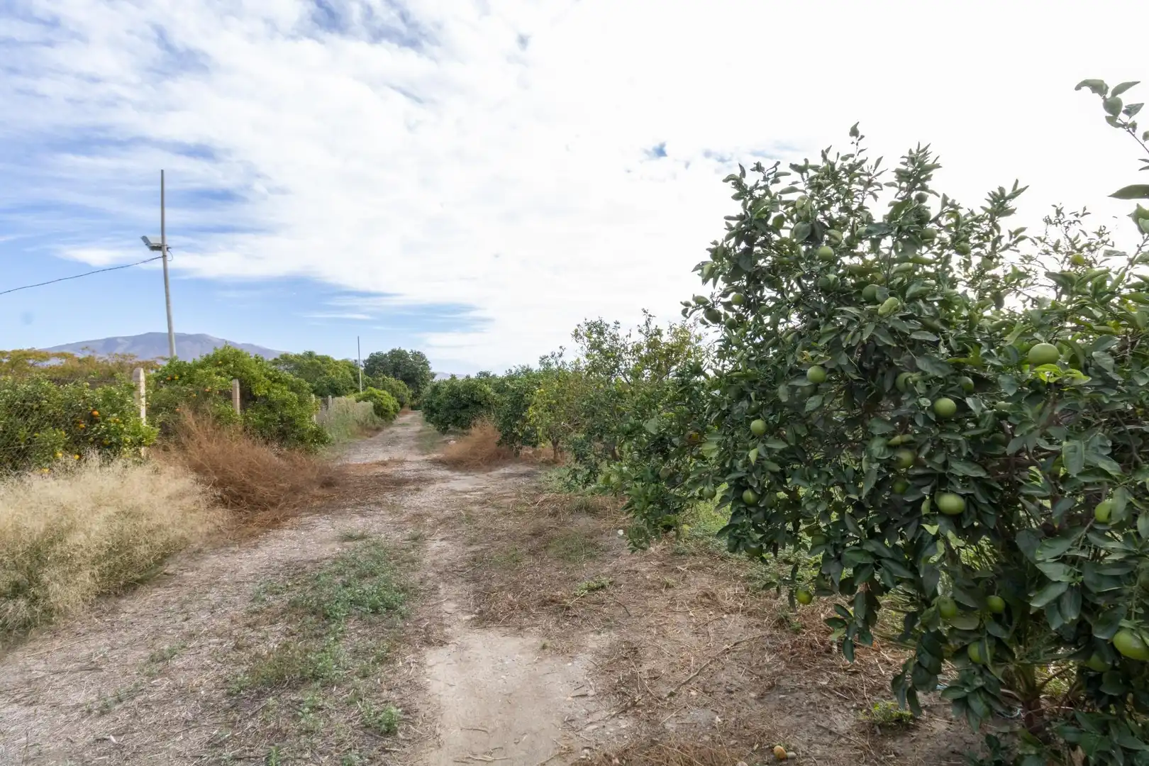Land for sale in Santa Fe de Mondújar