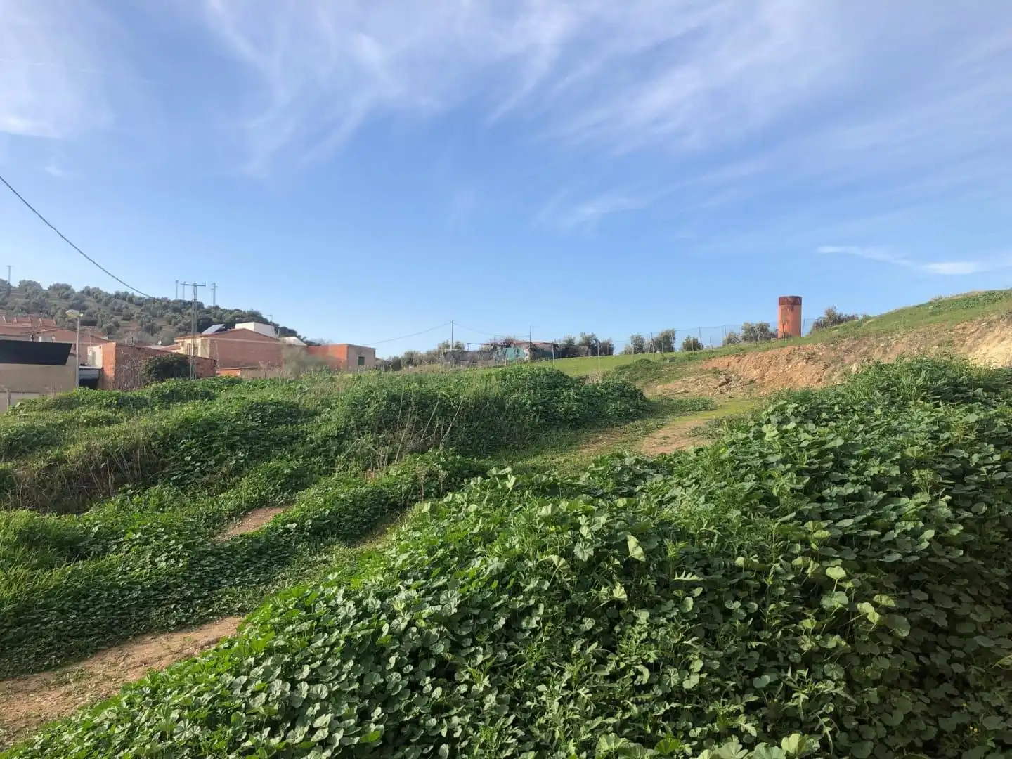 Residencial en venta en Navas de San Juan