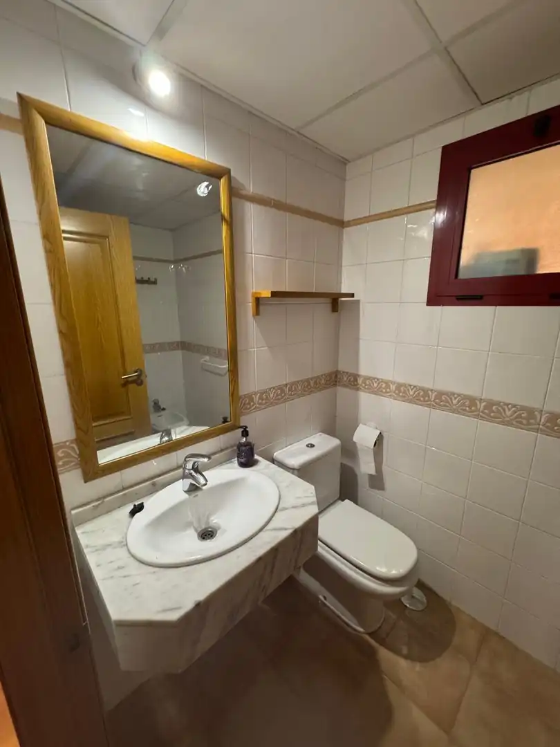 Baño de Piso de alquiler en Málaga con Terraza, Amueblado y Piscina comunitaria