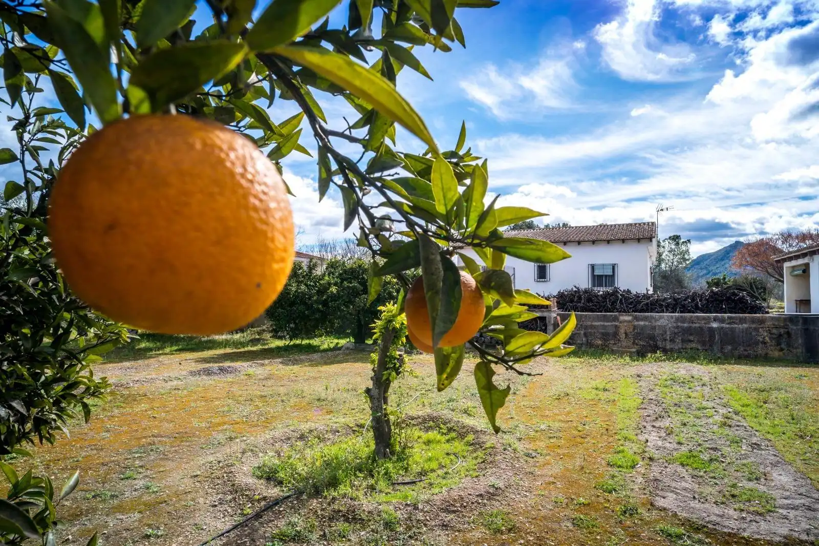 Jardín de Casa o chalet en venta en Xàtiva con Jardín privado, Terraza y Trastero