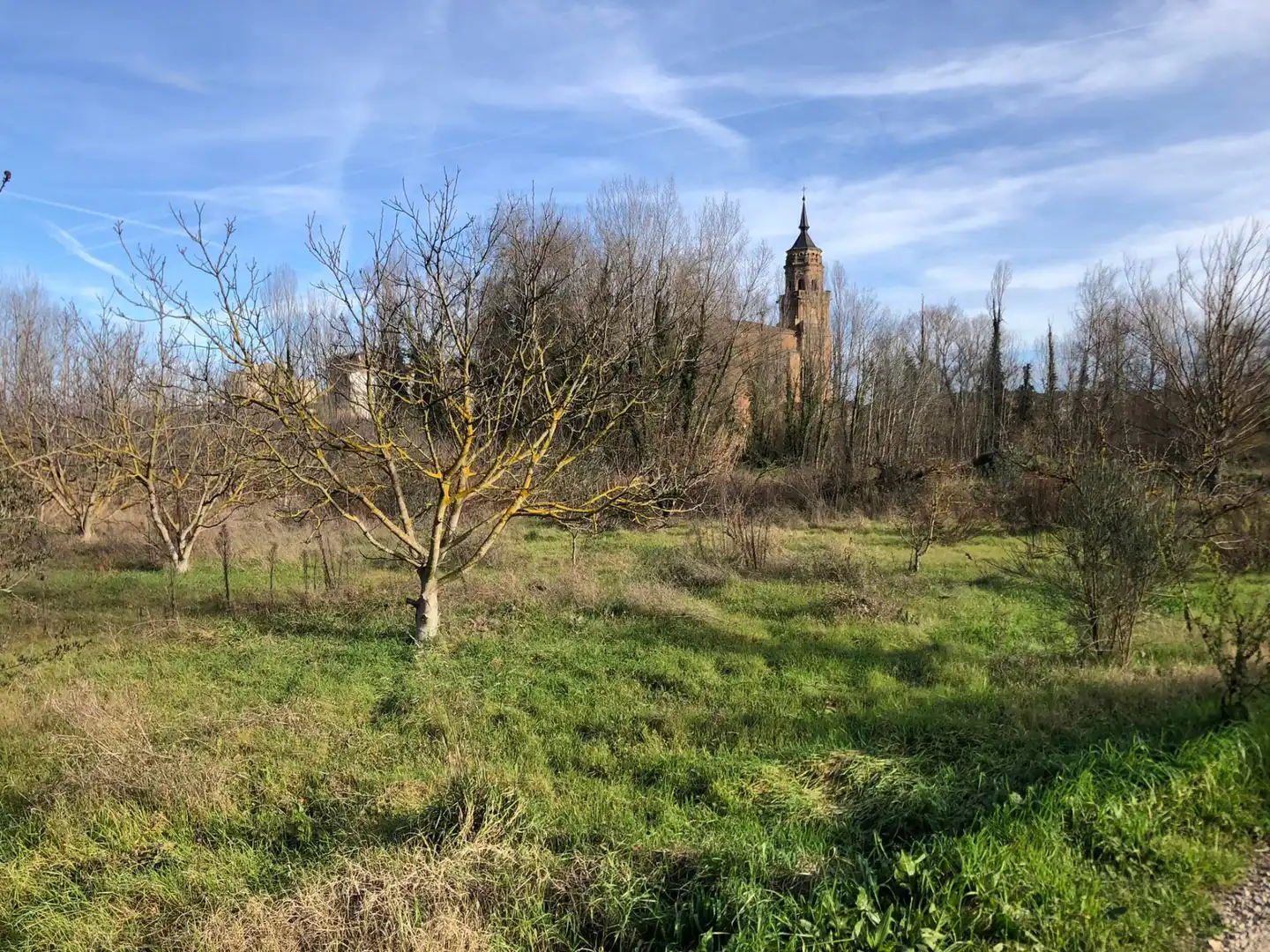 Terreni e lotti in vendita a Murillo de Río Leza, imagen 6