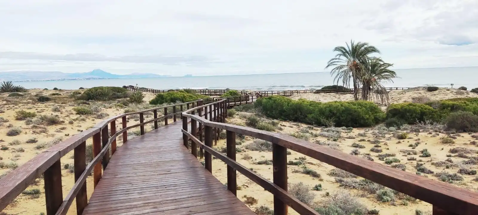 Houses for rent in Los Arenales del Sol