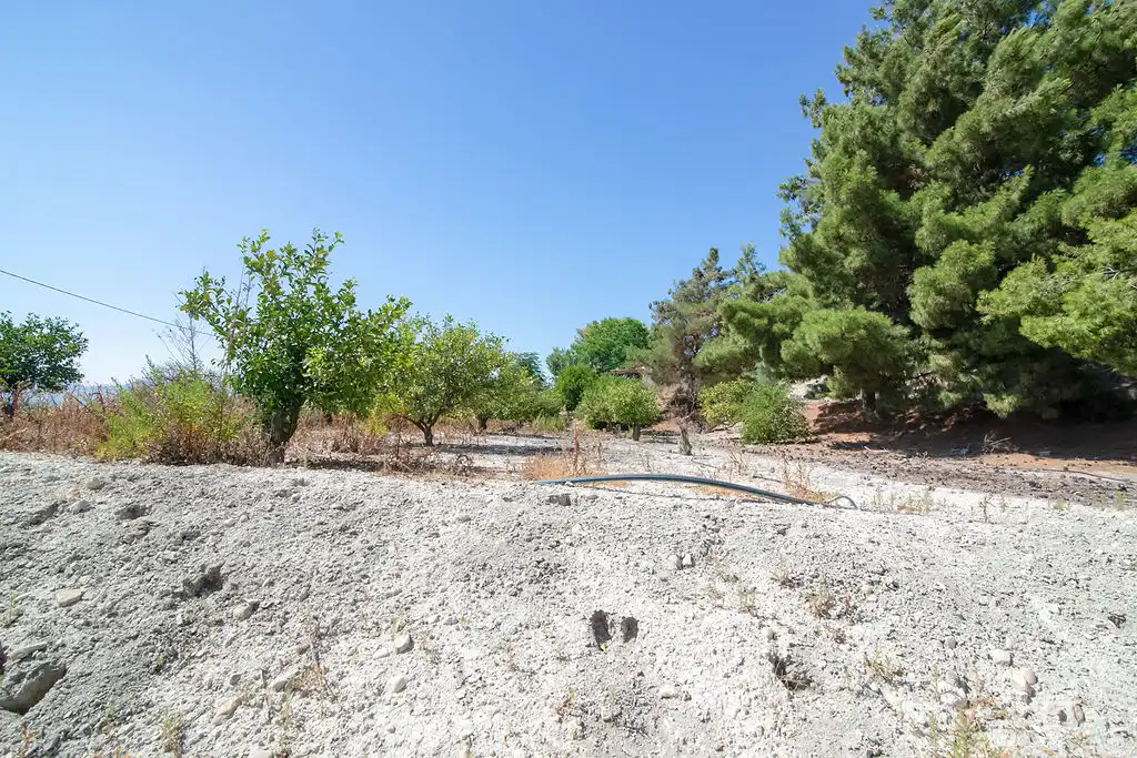 Lands and plots for sale in Paraje del Tale, imagen 10