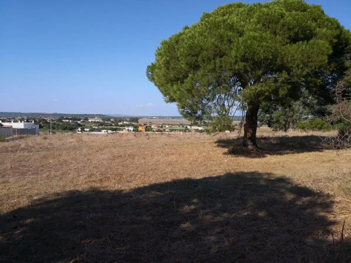 Terreno rustico in vendita a Barbate ciudad, imagen 3
