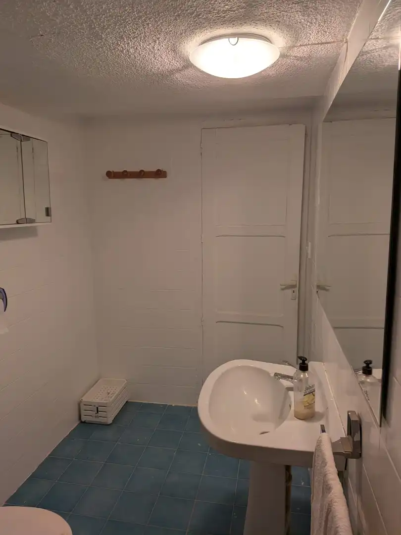 Bany de Casa o xalet de lloguer en San Vicente del Raspeig / Sant Vicent del Raspeig amb Jardí privat, Terrassa i Traster