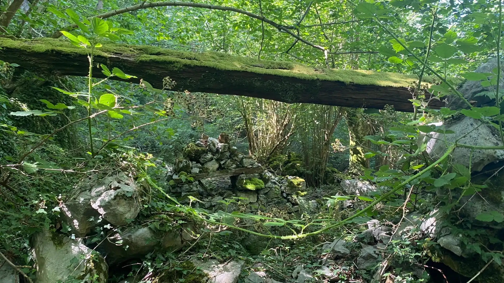 Terreno rustico in vendita a SEGÜENCO, imagen 36