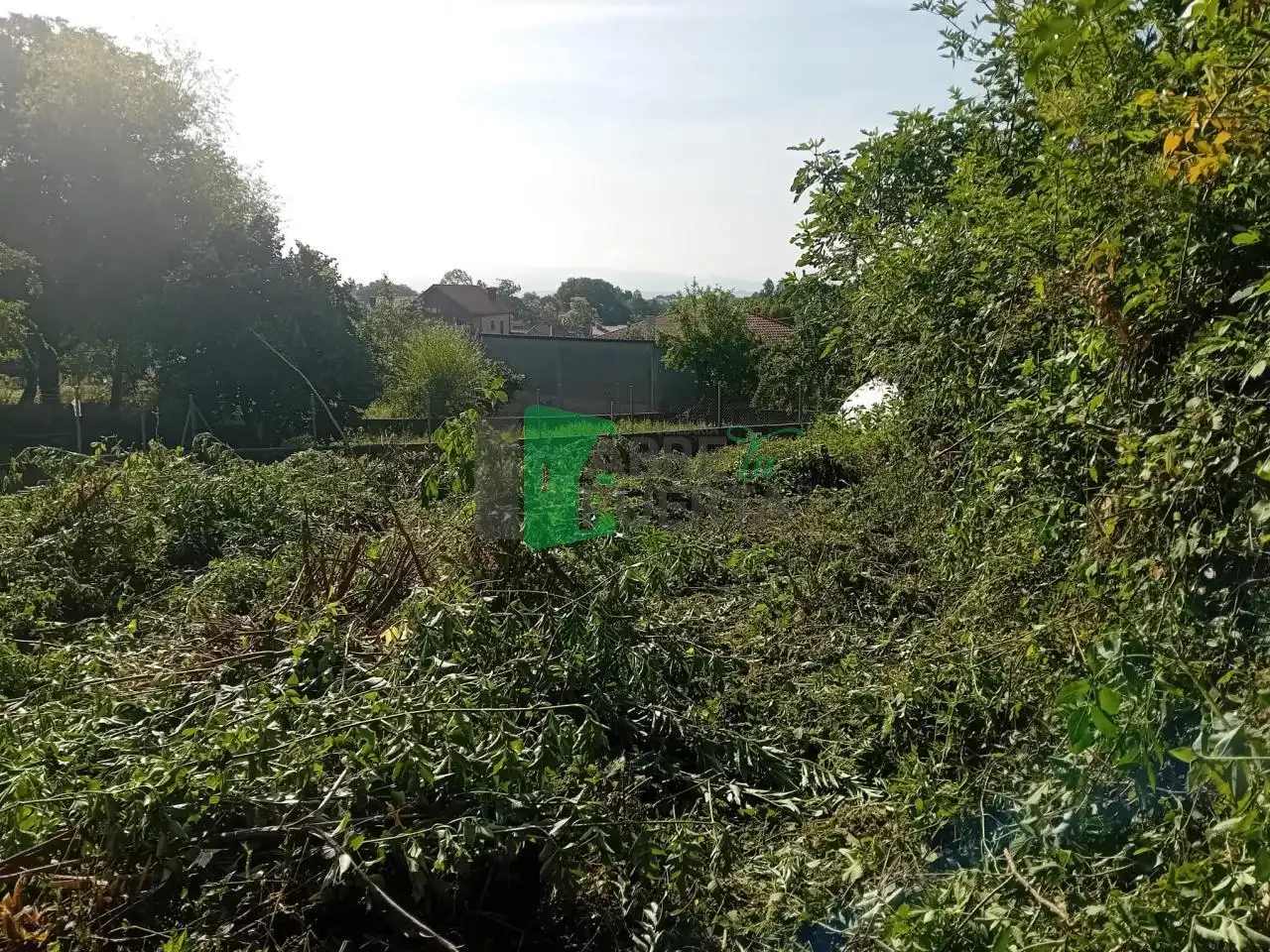 Haus mit Garten zum Verkauf in Coles, imagen 12