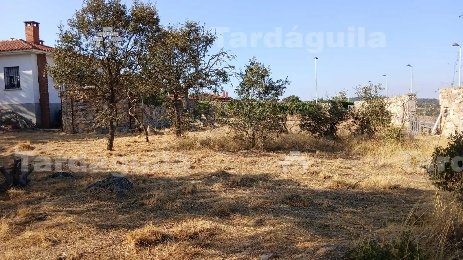 Casa o chalet en venta en Buenavista