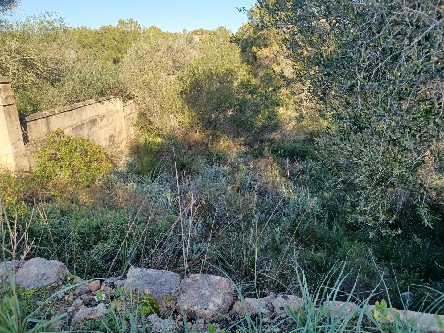 Residencial en venta en Manacor