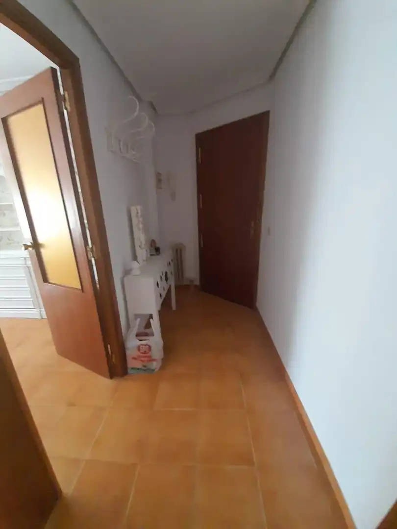 Wohnung mit Terrasse zur Miete in Casco Antiguo, imagen 8