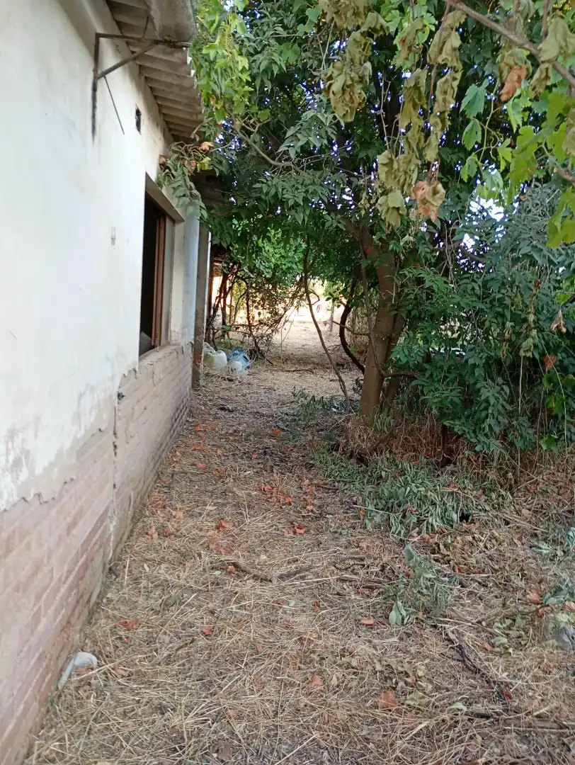 Grundstücke und Bauplätze zum Verkauf in Periurbano Este - Campiña, imagen 5