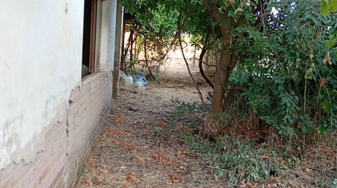 Terreno de 838 m2 en Camino Carbonell | 69.500€, imatge 5