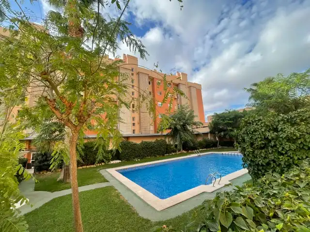Flat with pool to rent in Calle Doctor Carlos Belmonte, imagen 24