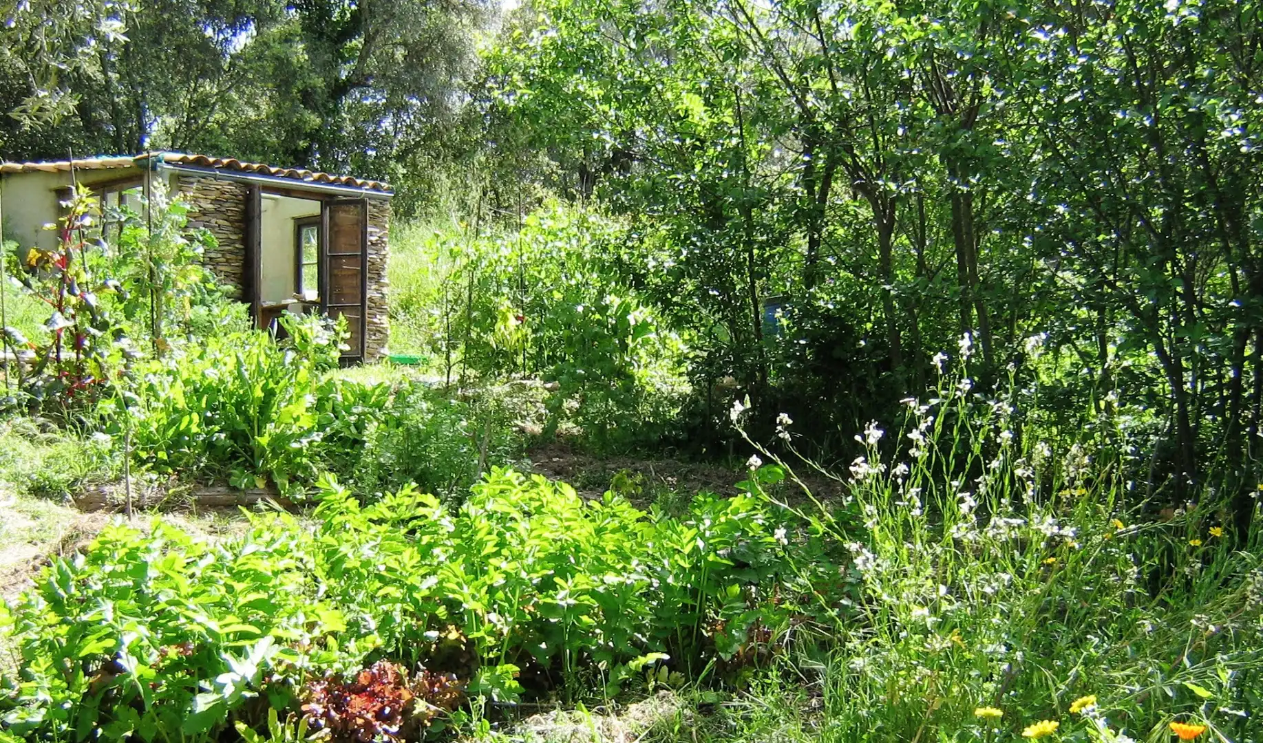 Jardí de Casa o xalet en venda en Los Marines amb Jardí privat, Terrassa i Traster