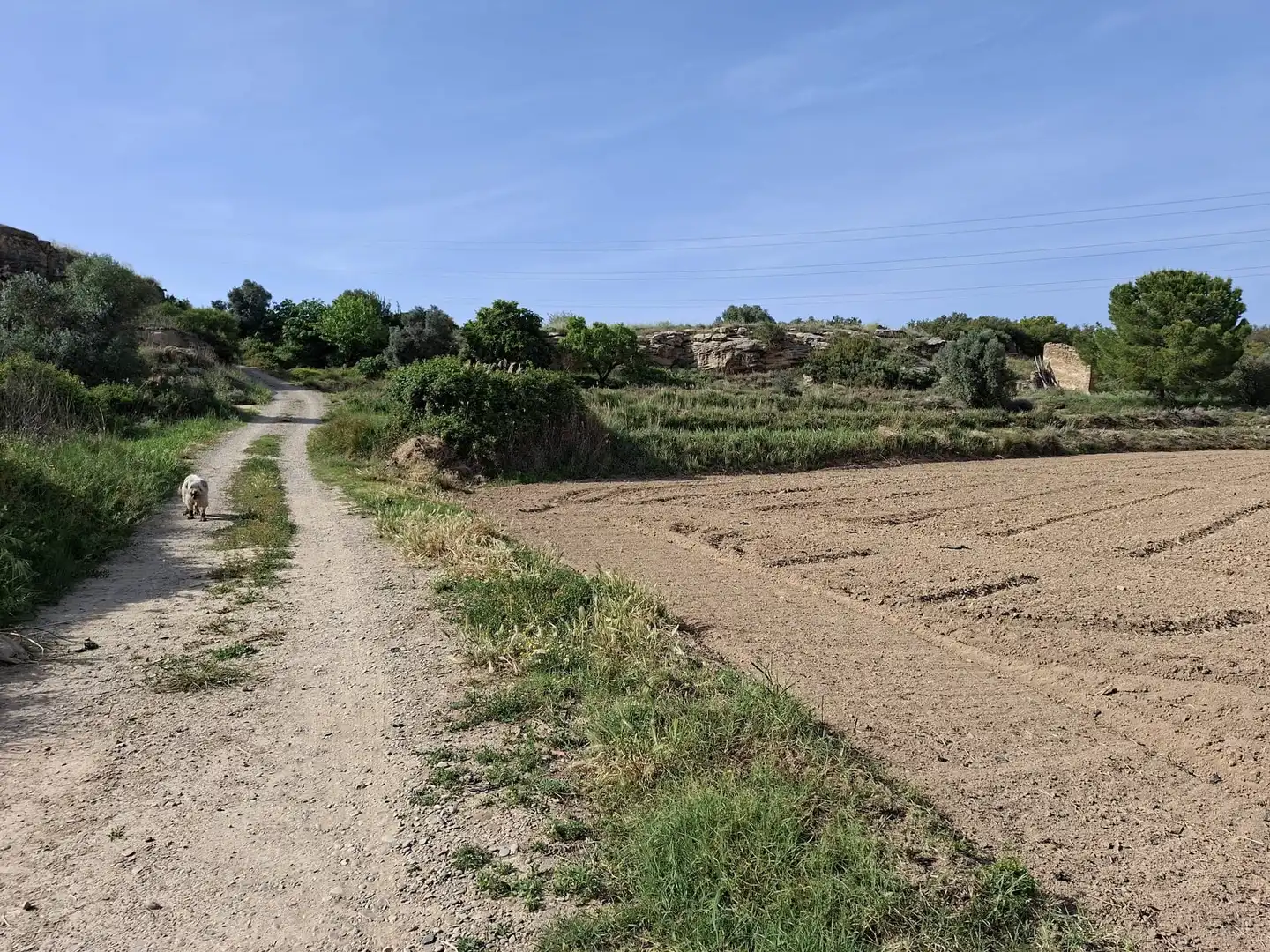 Finca rústica en venda en Caspe