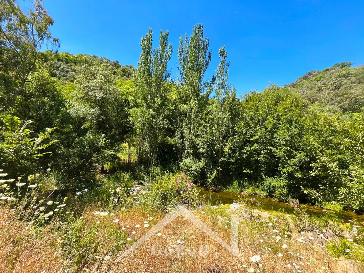 Grundstücke zum Verkauf in Constantina