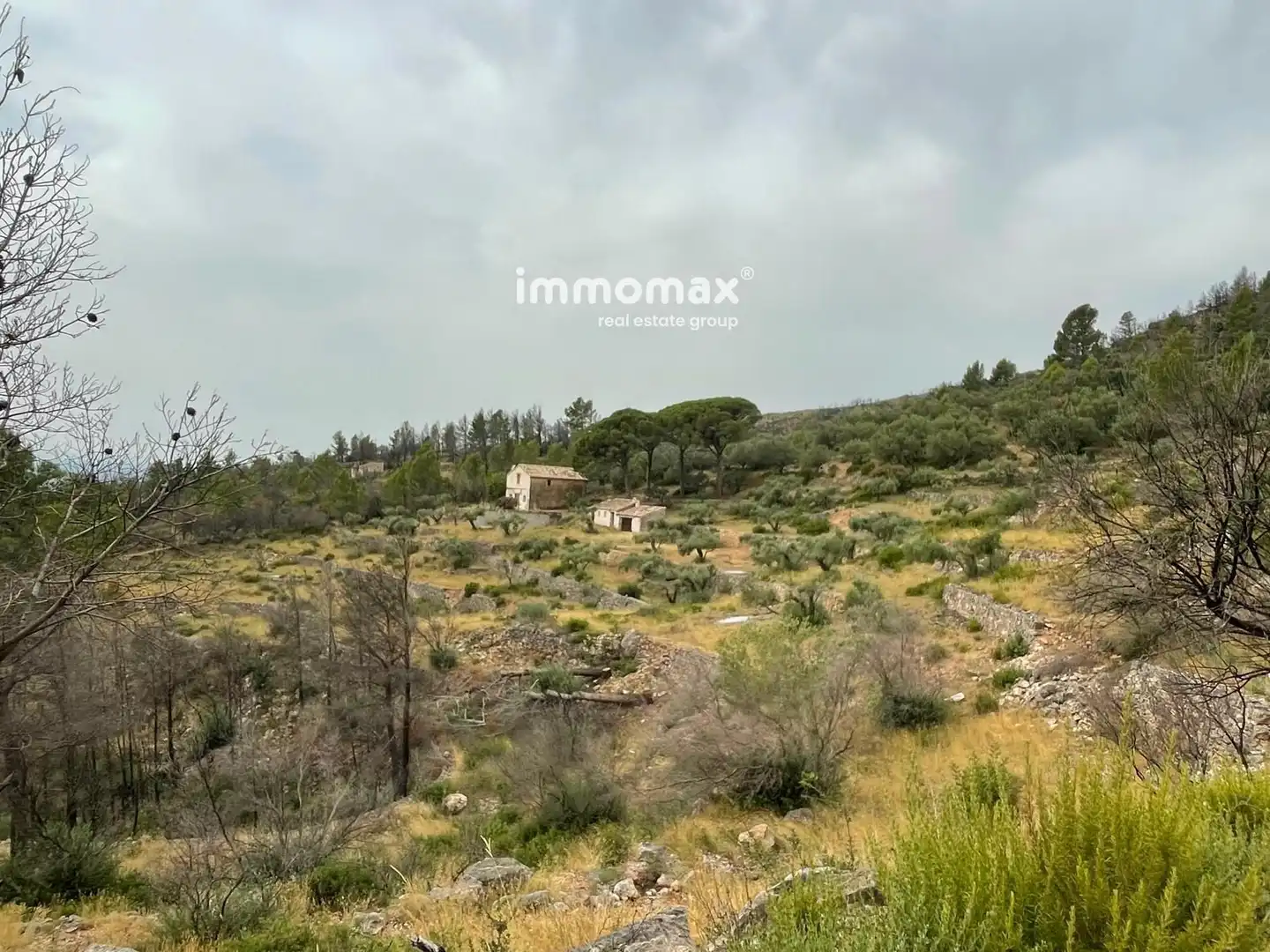 Casa o chalet en venta en Xerta con Trastero, Piscina y Amueblado