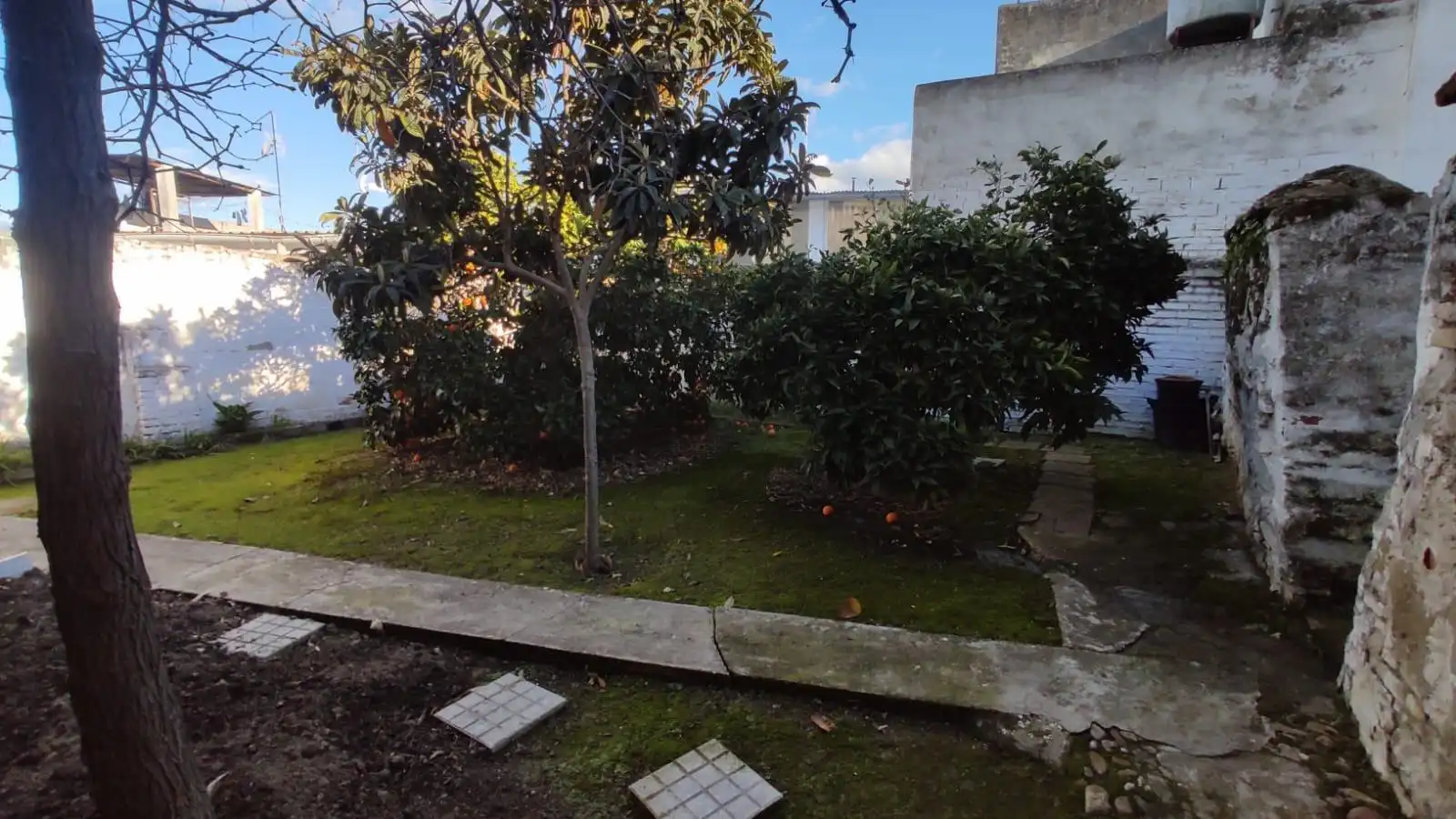 Casa amb terrassa en venda a El Carpio, imagen 2