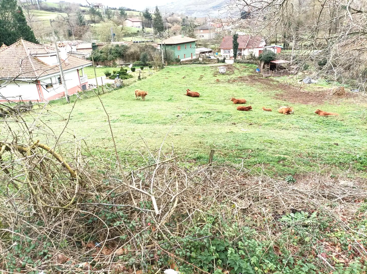 Terreny residencial en venda a San Juán de Raicedo - SAN JUAN DE RAICEDO 3 Y 4, imagen 2