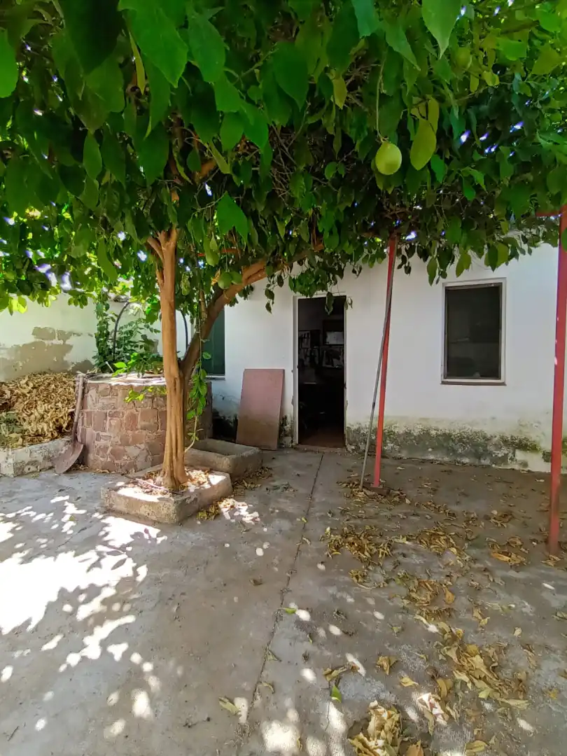 Vista exterior de Casa o xalet en venda en Torremayor amb Terrassa i Traster