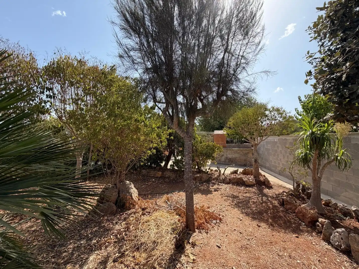 Terreny residencial en venda a Pòrtol, imagen 40