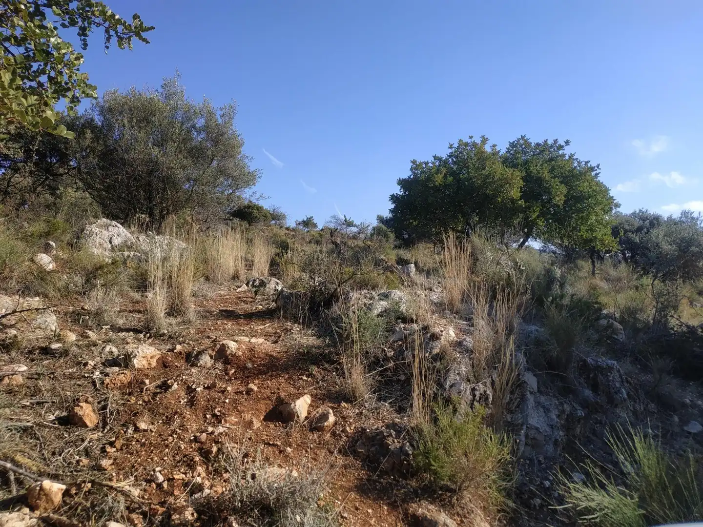 Terreny residencial en venda a UR-3, imagen 3