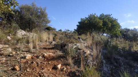 Foto 3 de Residencial en venta en  Ur-3, Periana, Málaga