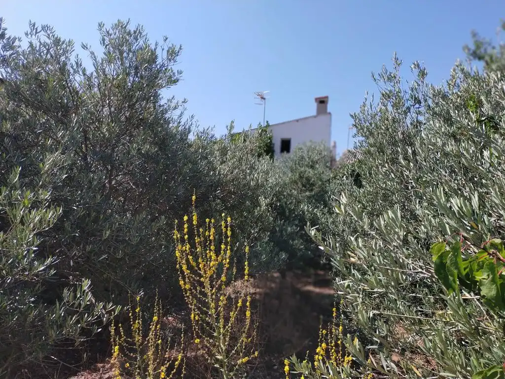 Casa o chalet en venta en Villarrubio