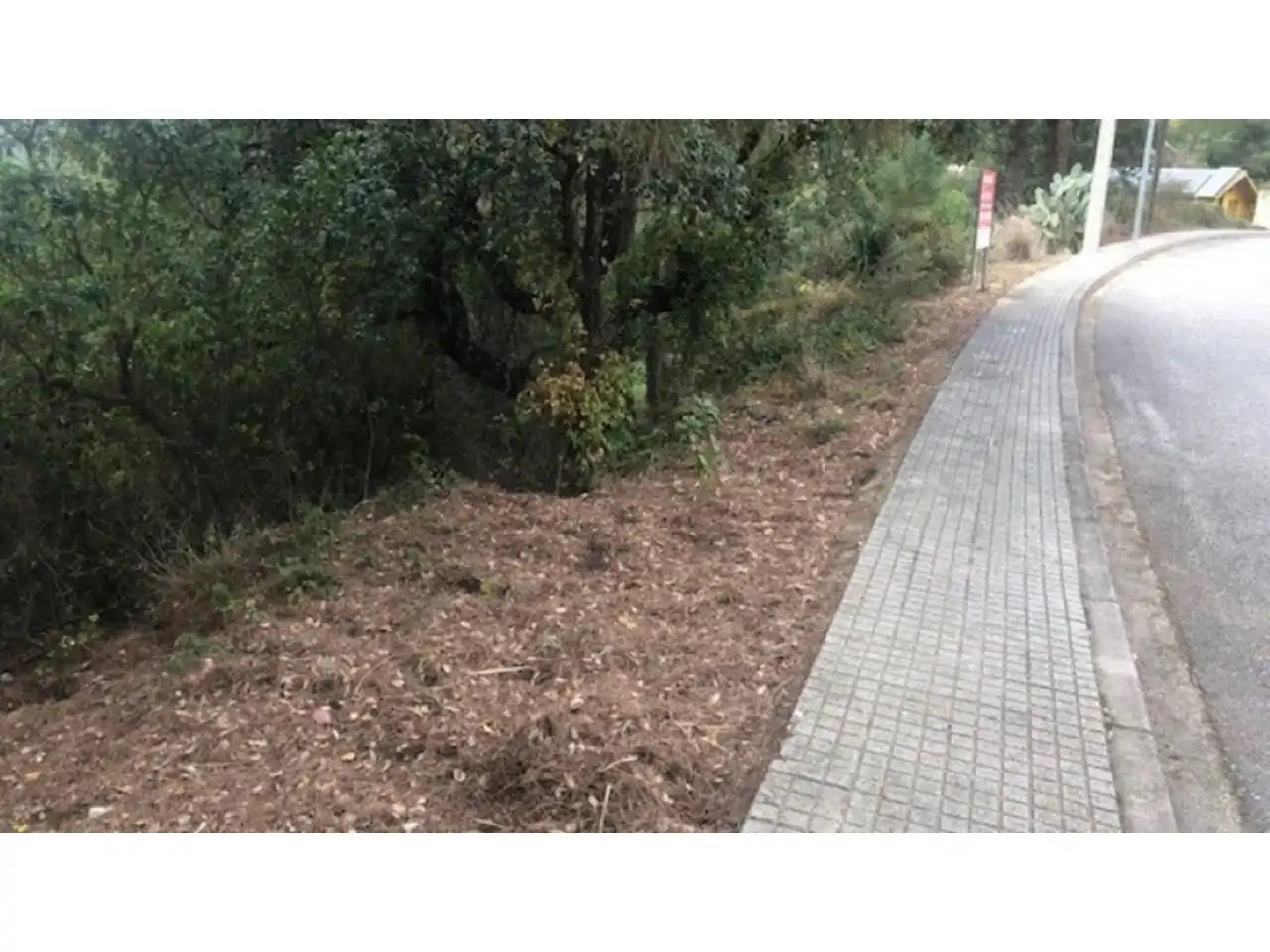 Terreno rústico en venta en Calle GERANIS, imagen 2