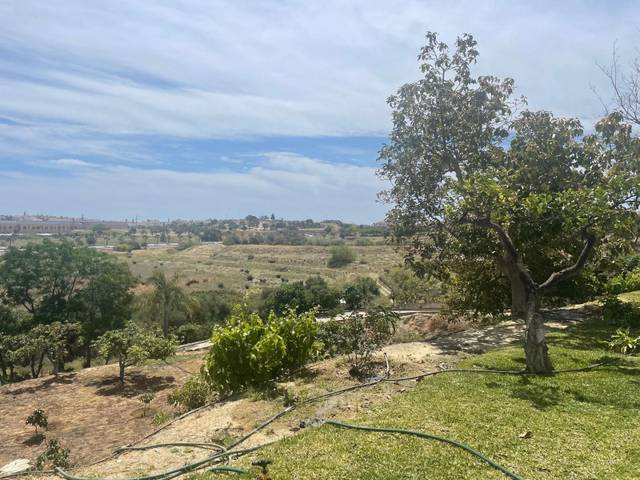 Finca rústica en Venta en Viña Málaga