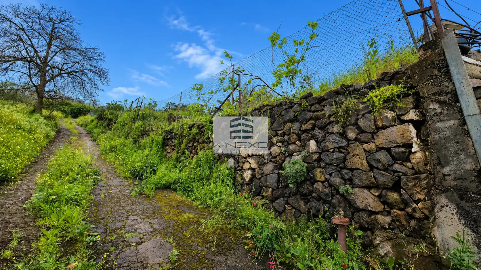 Einfamilien-Reihenhaus zum Verkauf in Santa Úrsula mit Abstellraum