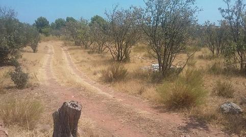 Photo 4 of Residential for sale in Plaça Poligono 7, 241, Montornés - Las Palmas - El Refugio, Castellón