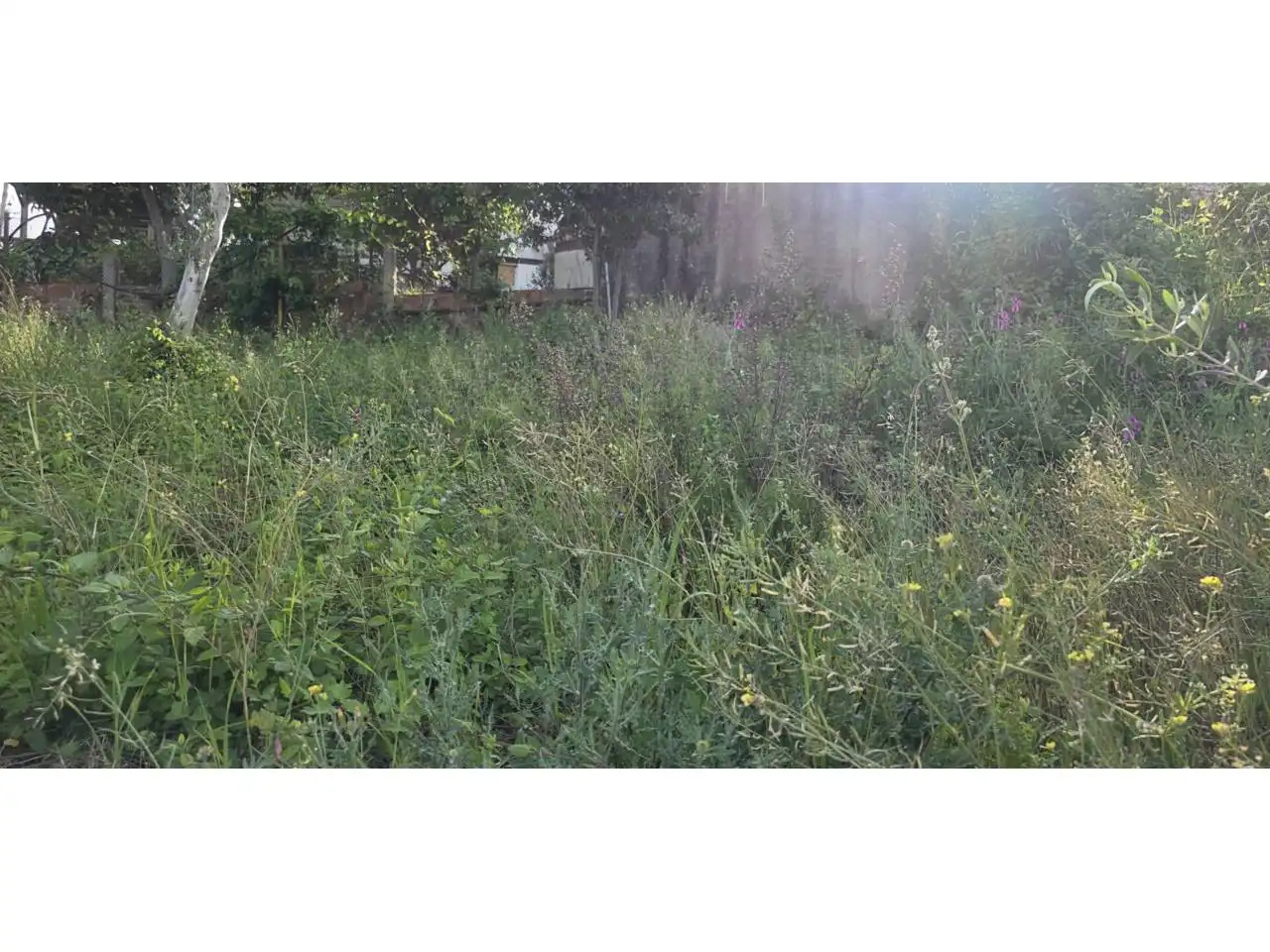 Wohnbaugrundstück zum Verkauf in Bigues i Riells del Fai, imagen 46