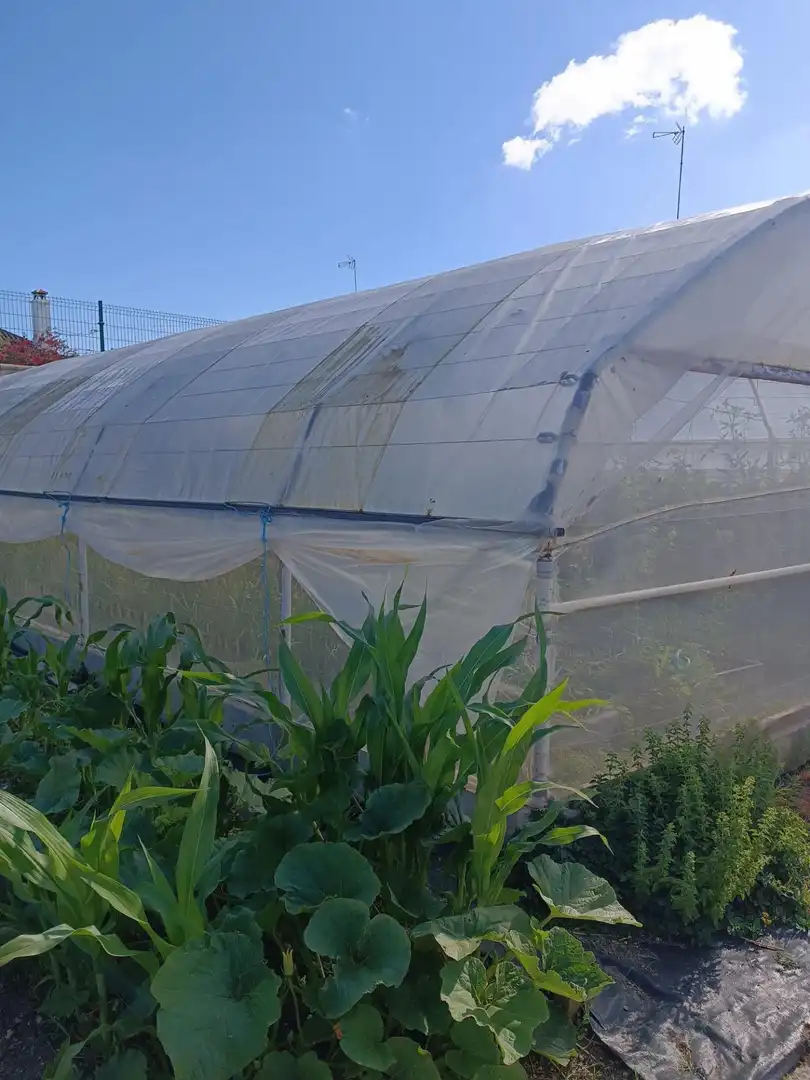 Jardín de Casa o chalet en venta en Puerto Real